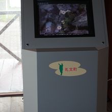 植物と観光の情報収集が表示されます
