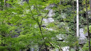 奥入瀬渓流の落差30ｍの滝
