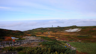 大雪山を手軽に楽しめる場所