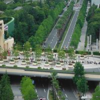 オープン前はこんな風に並んでます