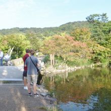 木々の葉が少し色づき始めました。