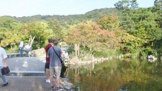 池と緑が美しいです