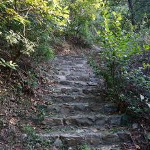 乃木保典の石碑へ行く道は少し険しい山道