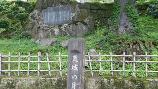 ここにも？？？