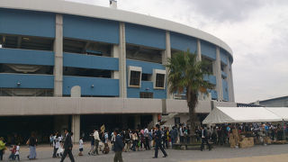 純粋に野球が楽しめました