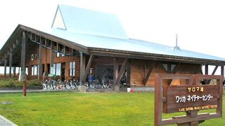 ワッカ原生花園