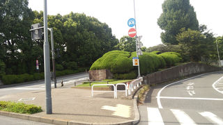 都心ののどかな公園