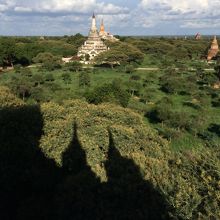 テラスからの眺め