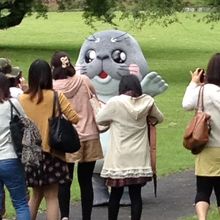 かわいいですね