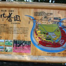 あわてて撮ったら傾いていた