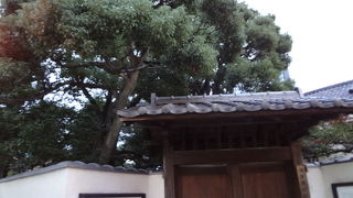 国技館北にある名園