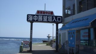 自然の恵みが…