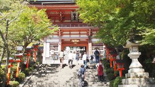 宇宙のパワーに浸る道場