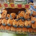 カピバラさんがいっぱい