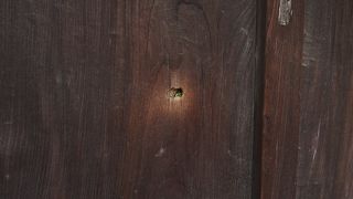 銃弾の残る歴史ある山門