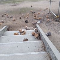 宿の玄関前です。