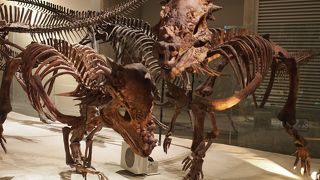 一日では見きれません！！