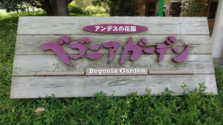 ベゴニアガーデン、最高