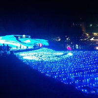 イルミネーションとホテルです。