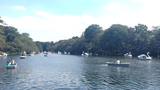 吉祥寺の癒しスポット