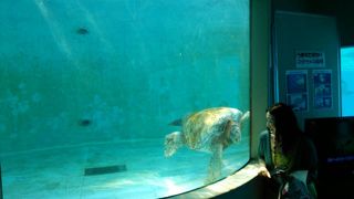 近寄ってきたぞ!!