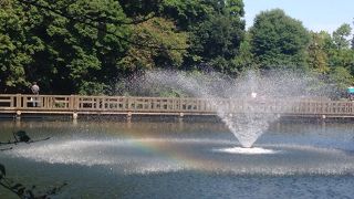 虹になっていた！