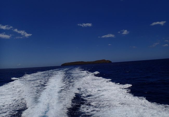 ダイビング・スノーケルスポットの無人島　モロキニ島