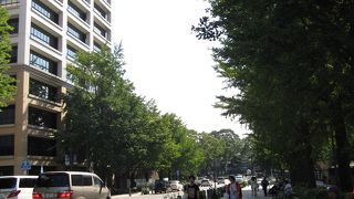 広く歩きやすい道