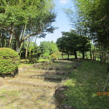 両側が竹林です。