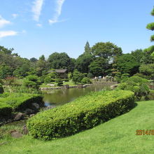 大きな池があります。