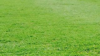 赤レンガの重厚な建物