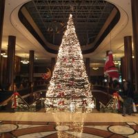 クリスマスが近かったため、ホールに大きなツリーが！