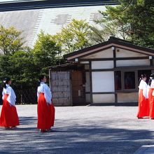 巫女さんがいっぱいいました