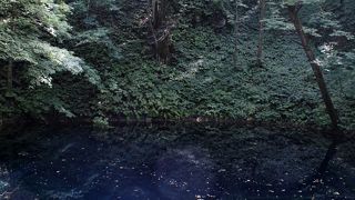 青森県を代表する景勝地。大小様々な神秘的な池。