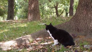 のんびりできます。