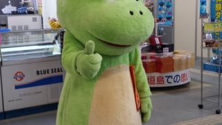 ドリーム観光利用のツアーに満足♪