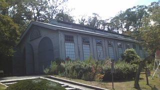 立派な御料車に圧倒されます