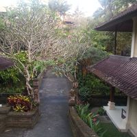 敷地内は高低差がかなりあり上手く生かして作ってあります