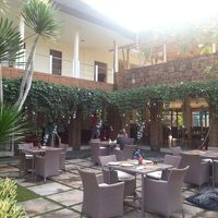 朝食をとるレストラン風景