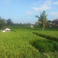 裏手の入口あたりから撮った風景