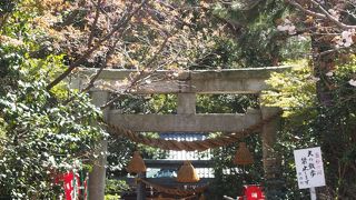 京都祇園の八坂神社から来られた厄除けの神様