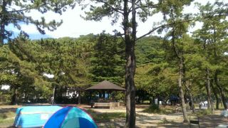 海沿いの緑があざやかな公園♪