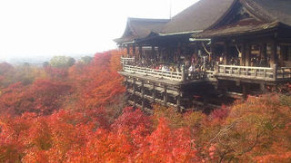 京都の大定番