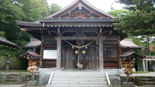 見どころ満載です