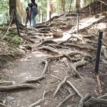 足下に気をつけましょう