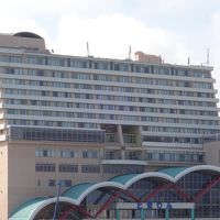 泊港の岸壁から