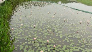 香港にはこんな所も