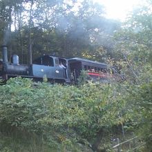 目の前をSLが！