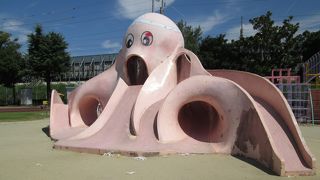 秋の陽の「タコ」