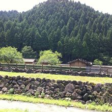 朝倉館から対岸の町並みをみたところ。
